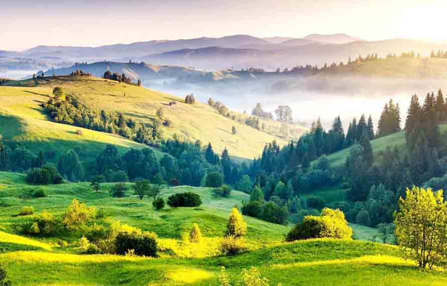 South India Holiday Tour